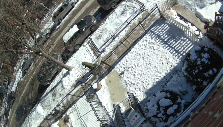 Reolink Camera Two_01_Reolink Home Hub One_20260128122315.jpg